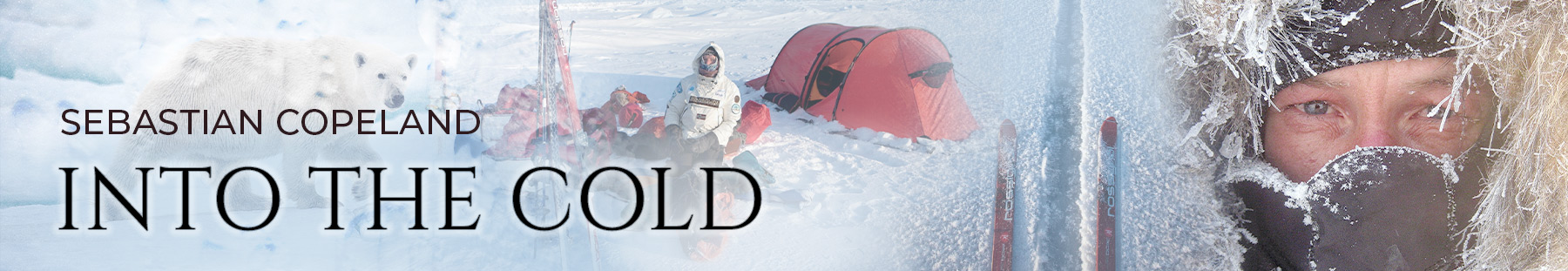 Banner for Into The Cold