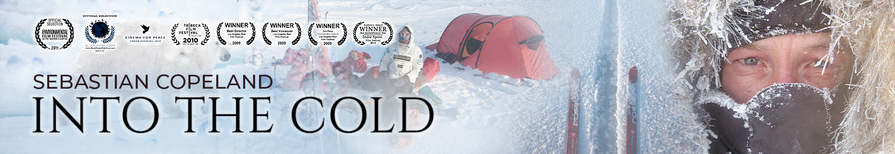 Banner for Into The Cold