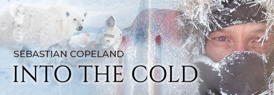 Banner for Into The Cold