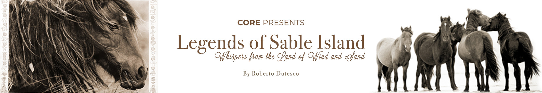 Banner for Legends of Sable Island