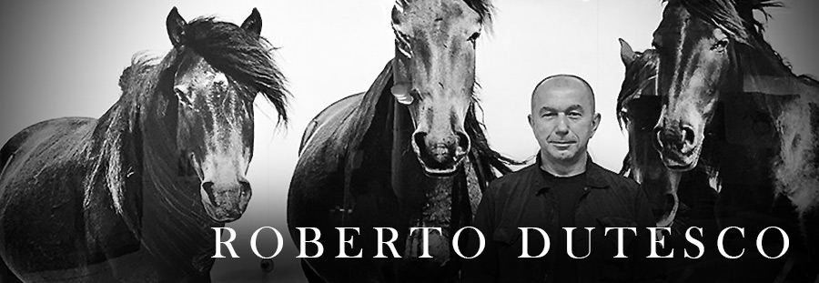 Banner for Roberto Dutesco