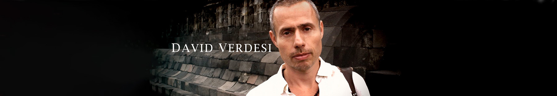 Banner for David Verdesi