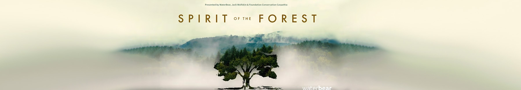 Banner for Spirit of the Forest
