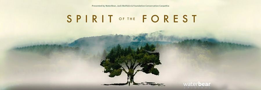 Banner for Spirit of the Forest