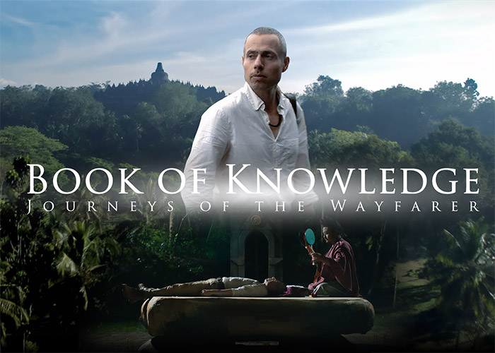 The Root of Our Energy