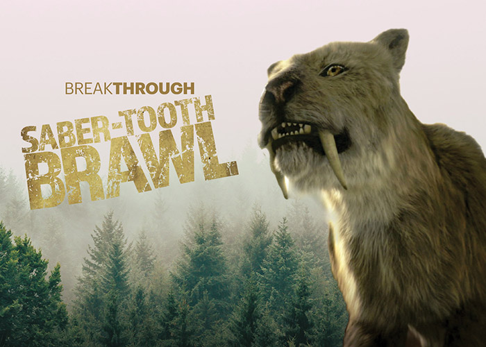 Saber-Tooth Brawl