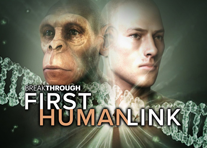 First Human Link