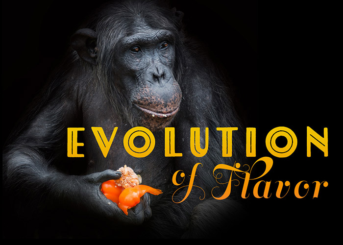 Evolution of Flavor