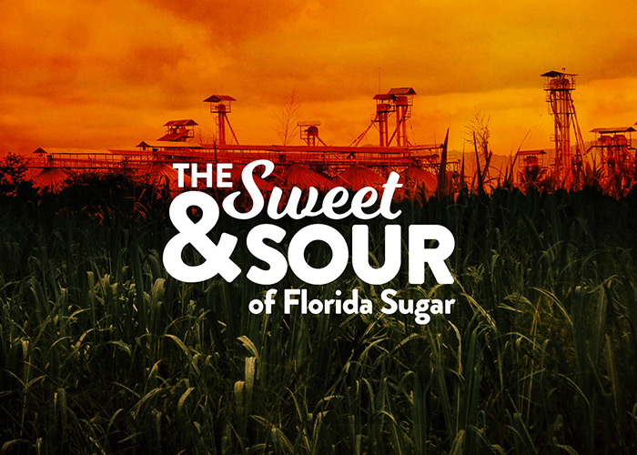 The Sweet & Sour Of Florida Sugar