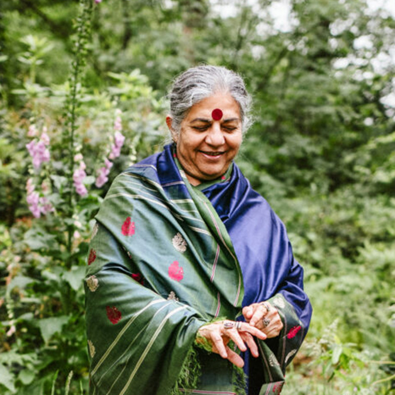 Header image for Vandana Shiva: “In a living economy, we participate in the natural world as equals”
