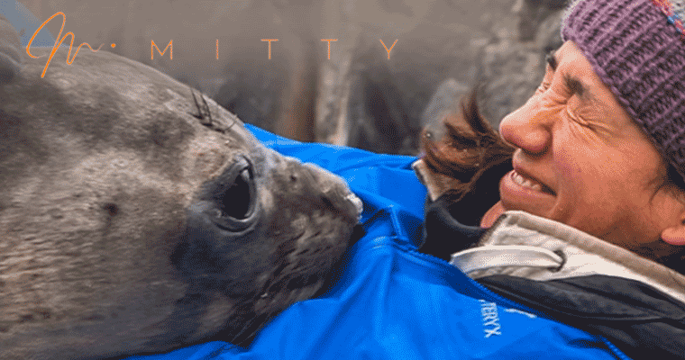 Cristina Mitty
