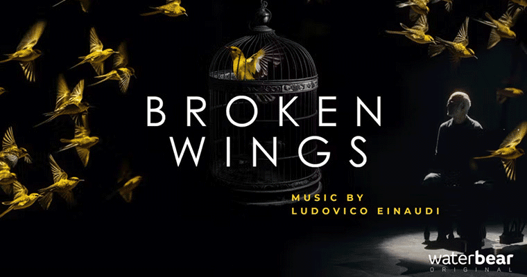 Broken Wings