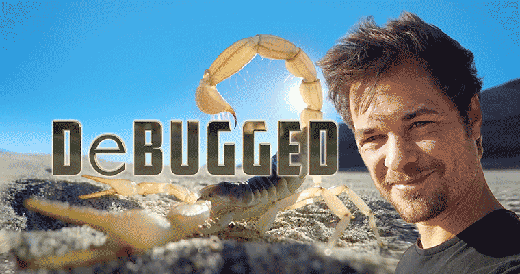 DeBugged