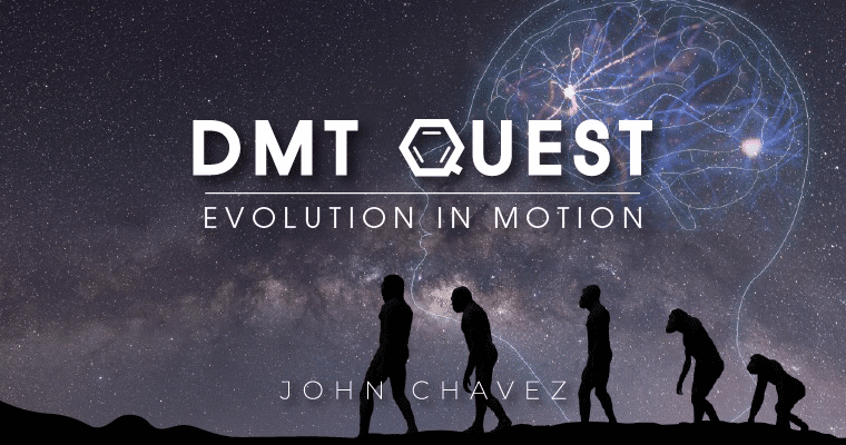 DMT Quest: Evolution in Motion