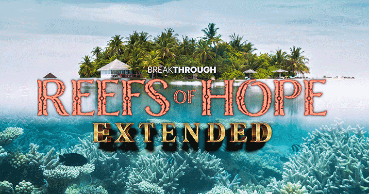 Reefs of Hope (Extended)