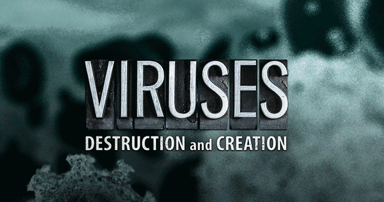 Viruses: Destruction and Creation