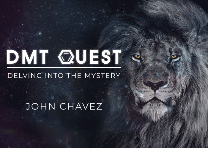 Title card for DMT Quest