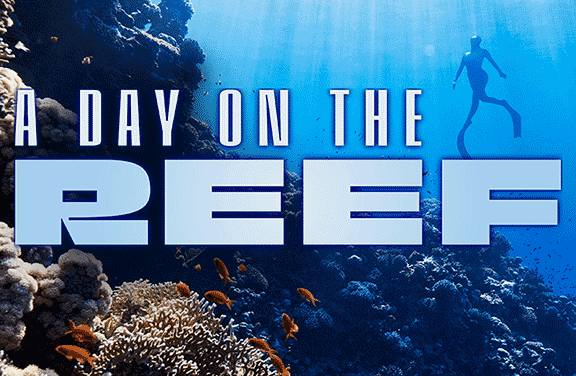 Image for A Day on the Reef: Sipadan