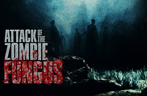 Image for Attack of the Zombie Fungus
