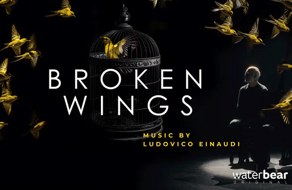Image for Broken Wings