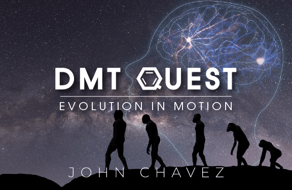 Image for DMT Quest: Evolution in Motion