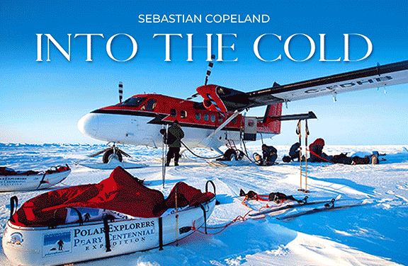 Into The Cold