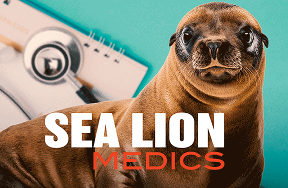 Image for Sea Lion Medics