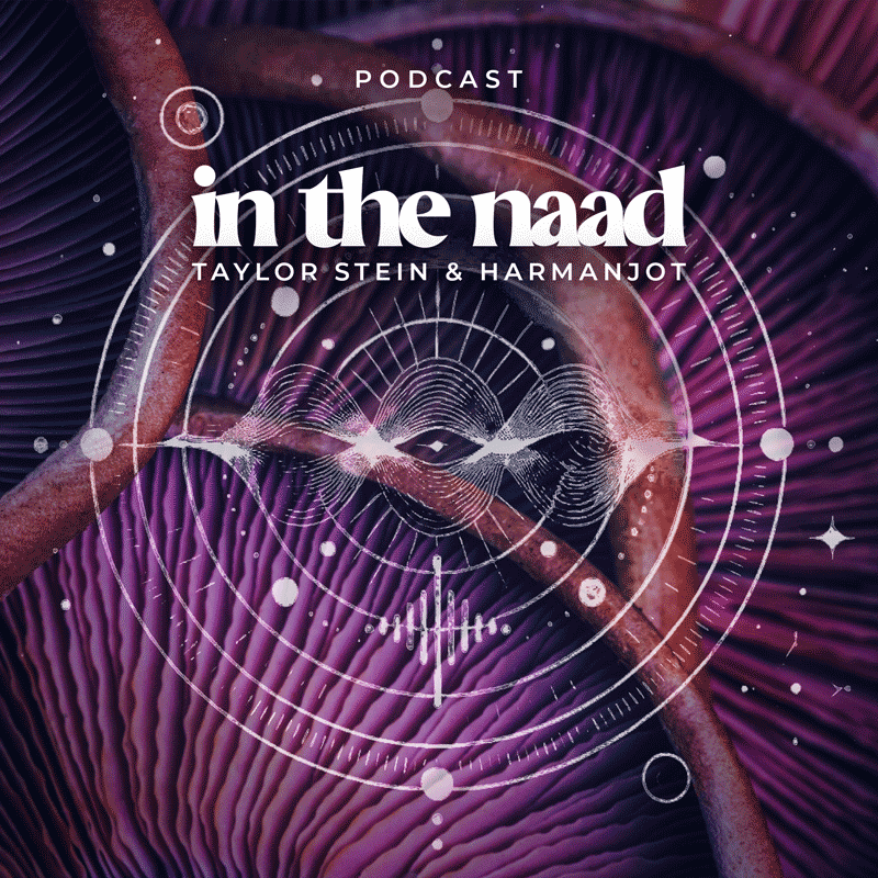 Decoding Love title card