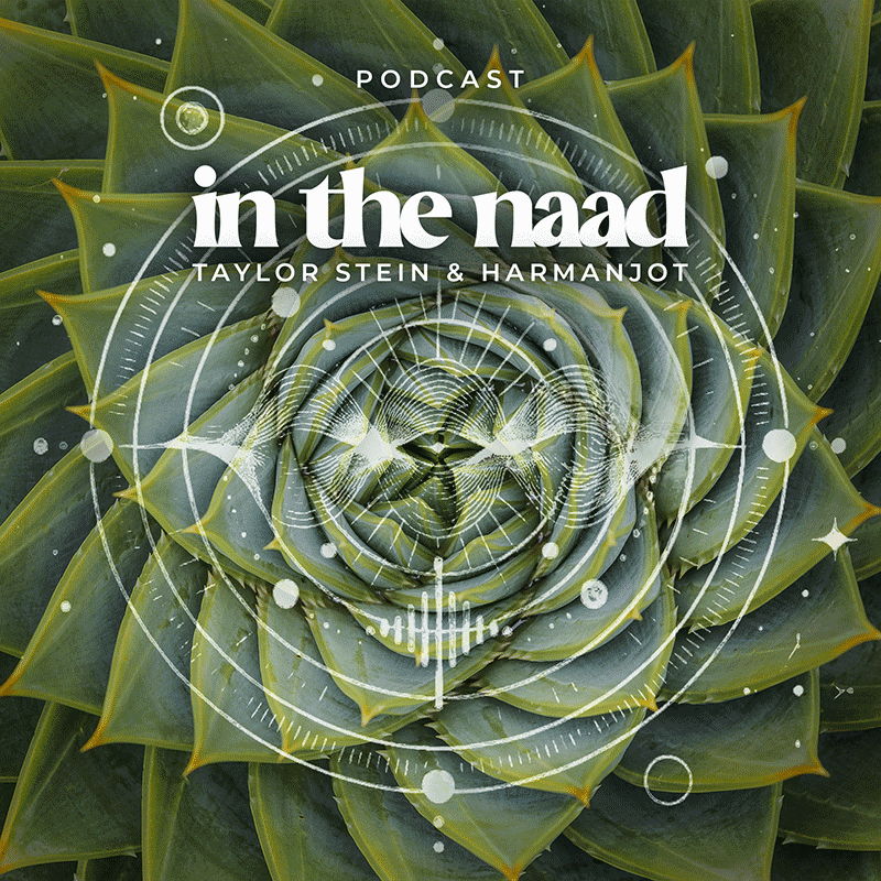 The Forbidden Frequency title card