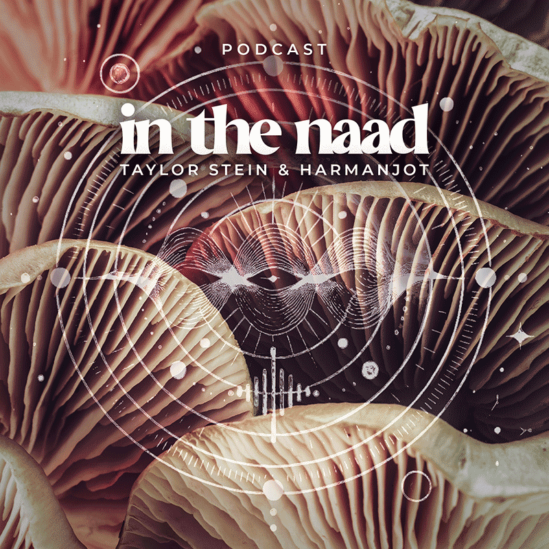 CLIT ROCK title card