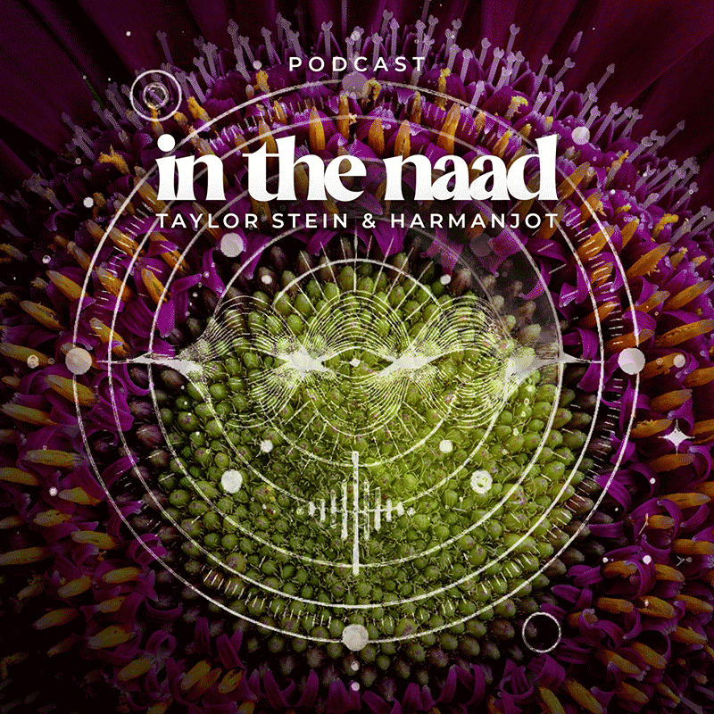 Are You There God? It’s Me, Gina title card