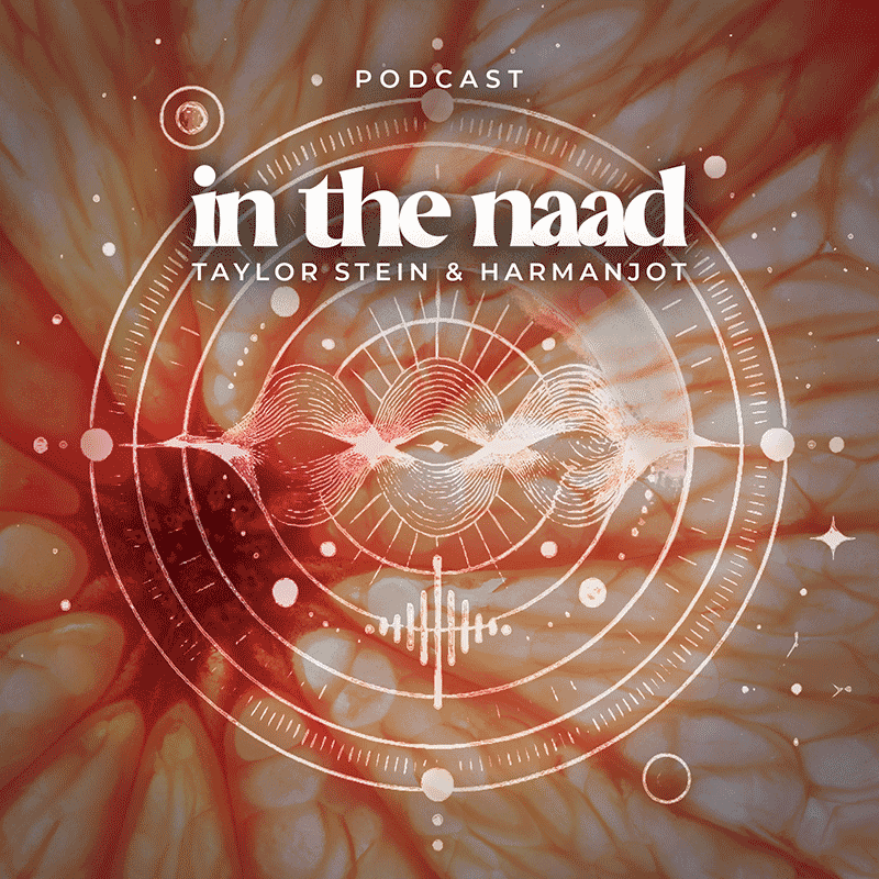 The New Sonic Order title card