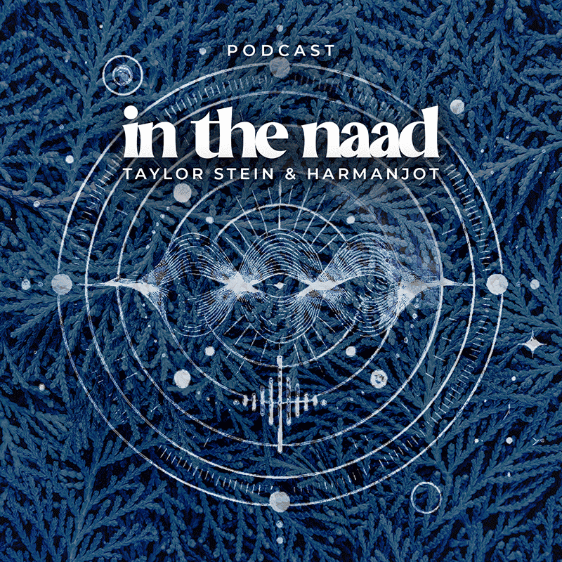 The Future of Shelter title card