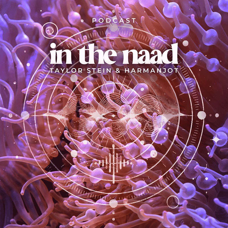 In the ZoGG title card