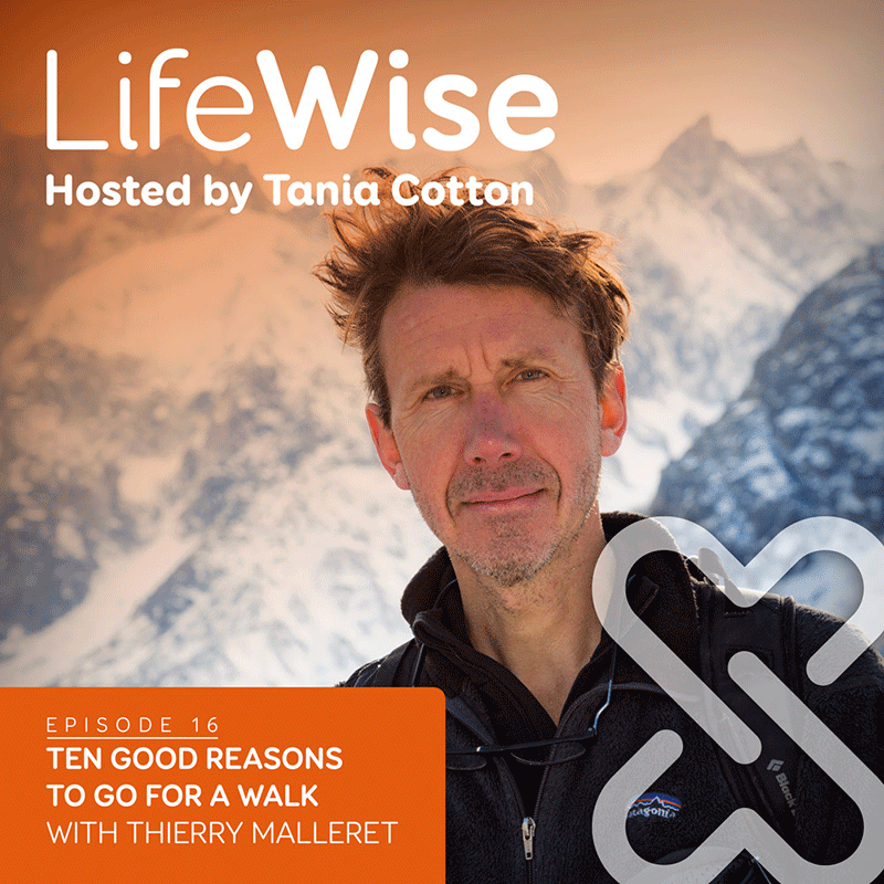 Ten Good Reasons to Go For a Walk title card