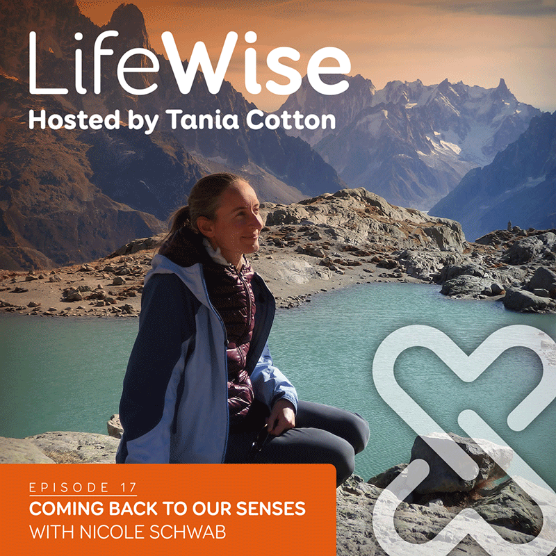 Coming Back to Our Senses title card