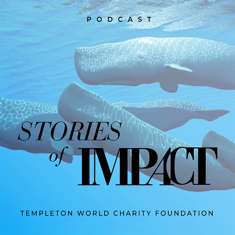 Whale Song & Alien Intelligence with Dr. Laurance Doyle and Dr. Fred Sharpe title card