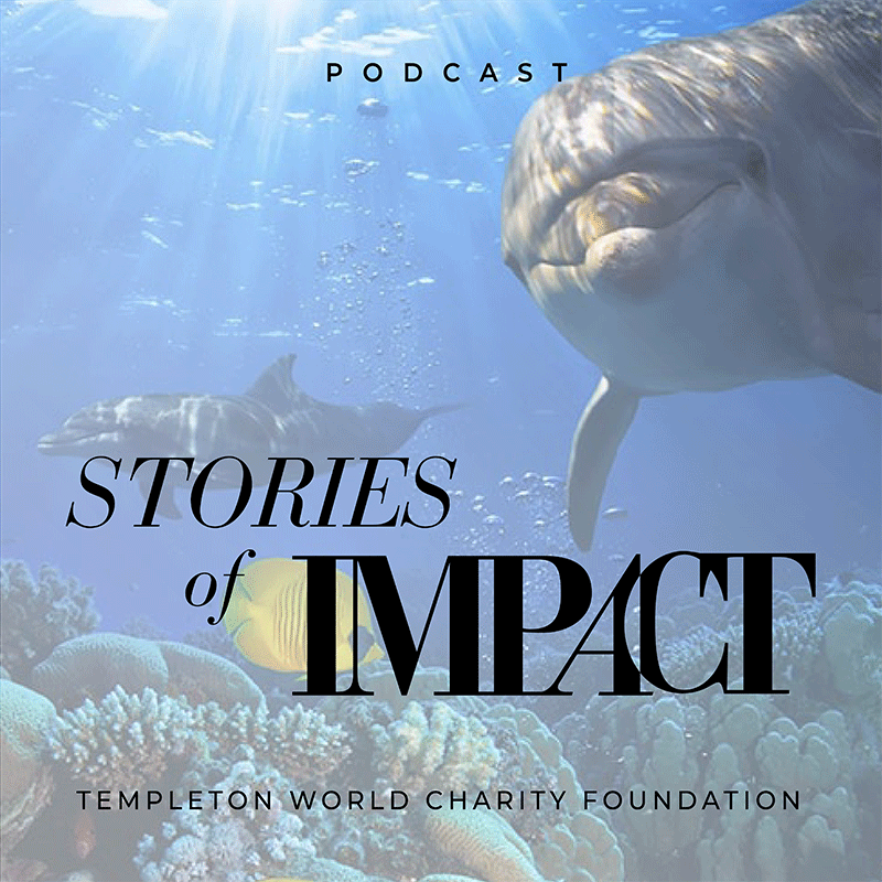 Cracking the Code: Searching for Language in Dolphins with Dr. Denise Herzing title card