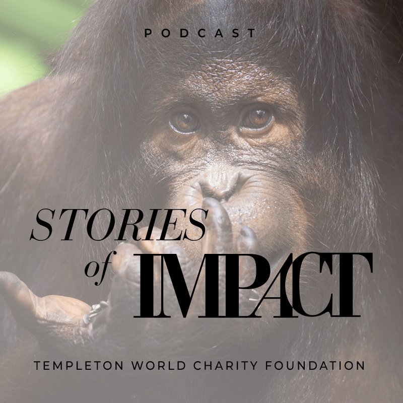 Humor in Apes title card