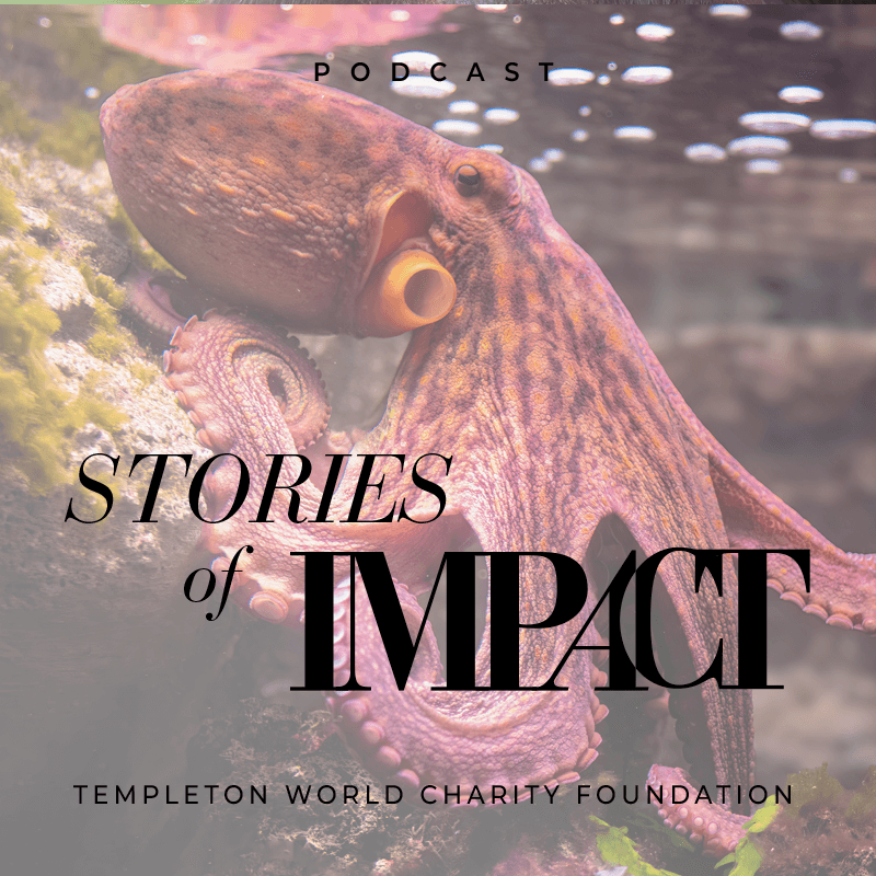 Diverse Intelligences Surprises with Dr. Paco Calvo, Dr. Marcelo Magnasco & Dr. Diana Reiss title card