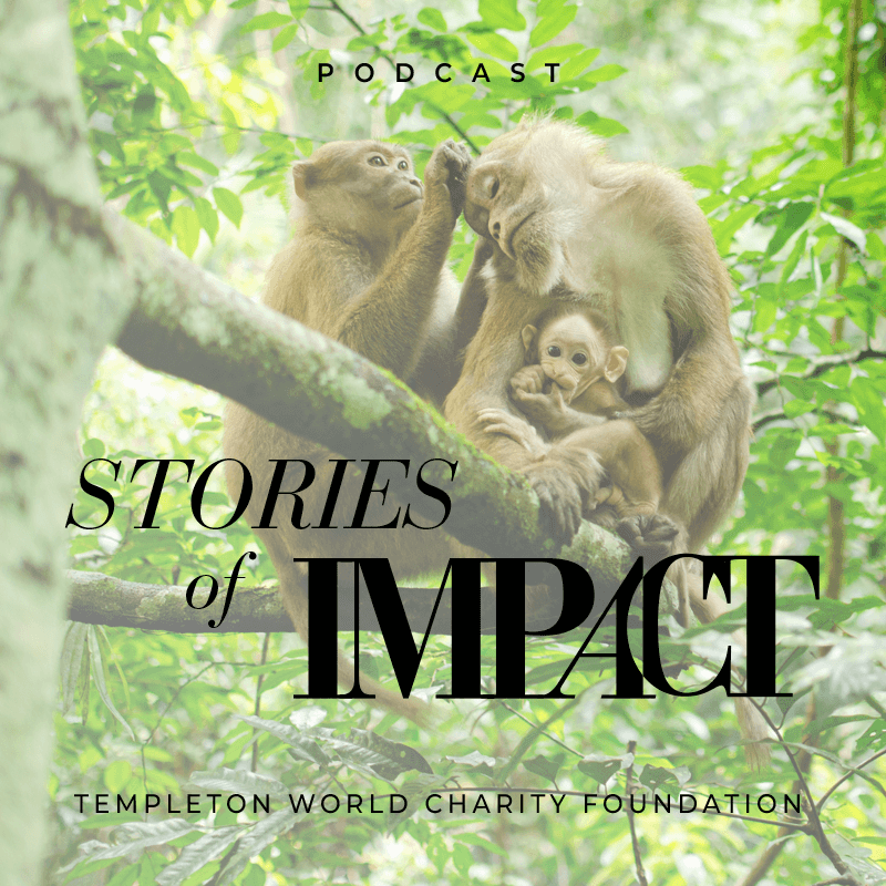 Wildlife Intelligence Explorers with Dr. Ian Miller, Dr. Felicity Muth, Dr. Tiago Falótico & Dr. Mauricio Cantor title card