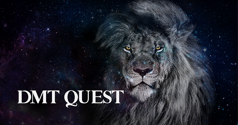 DMT Quest