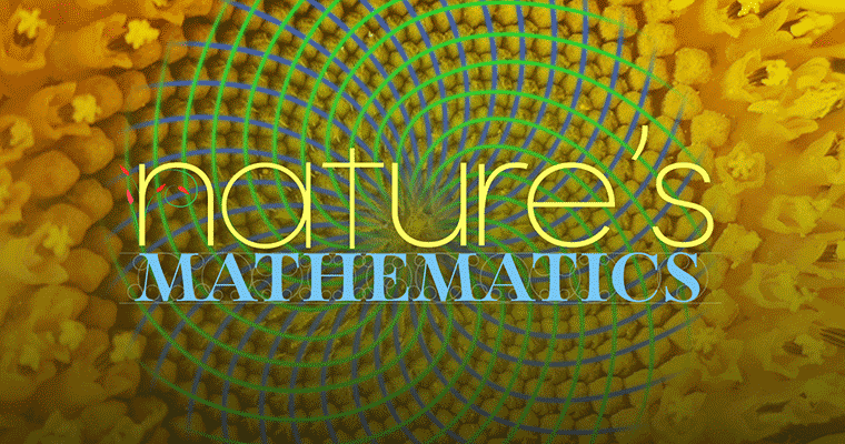 Nature's Mathematics