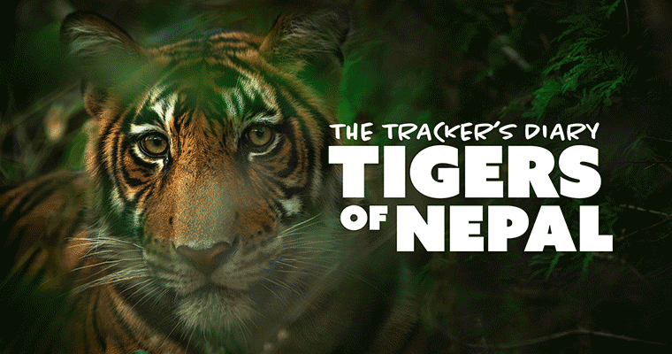 The Tracker's Diary: Tigers of Nepal