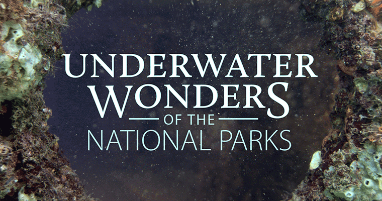 Underwater Wonders of the National Parks