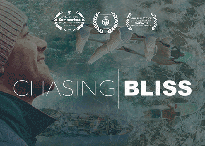 Chasing Bliss