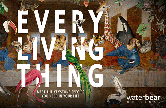 Image for Every Living Thing