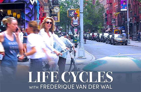 Life Cycles