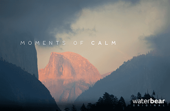 Image for Moments of Calm