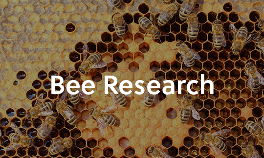 Bee Research